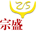 四川宗盛文化传播有限公司 